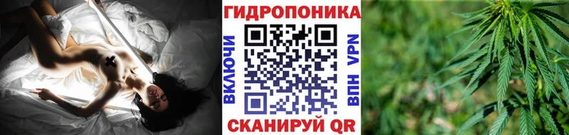 Купить наркотики сайты Алексеевка Альфа ПВП Мефедрон Гашиш