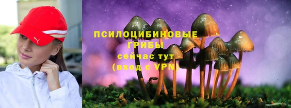 эйфоретик Алексеевка