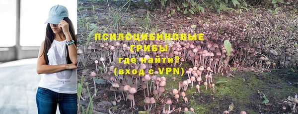 дживик Алзамай