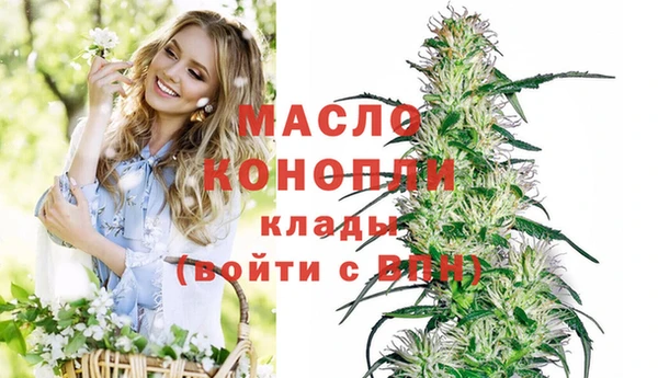 МДПВ Алексин