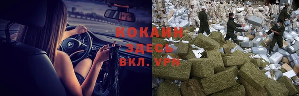 дживик Алзамай