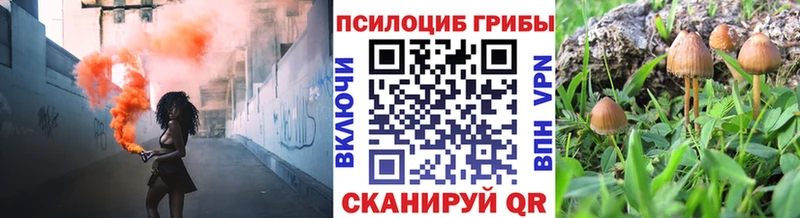 Галлюциногенные грибы Magic Shrooms  цены наркотик  Алексеевка 